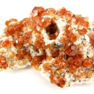 Grosularia